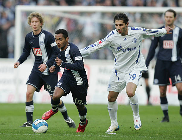 他们在各自 他们在各自